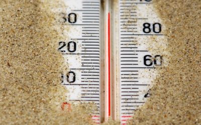 Température et conditions météorologiques sur un bateau de croisière